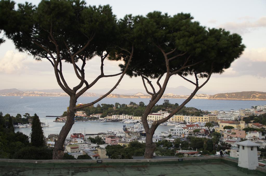 Hotel Don Pedro Ischia Dış mekan fotoğraf